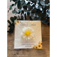 Bernami Dekoratif Pinterest Yeni Sezon 20 Adet Papatya Mum, Dekoratif Şekeri, Doğum Bebek, Sünnet, Dekoratif Nişan Söz, Kına