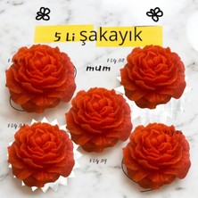 Bernami Dekoratif Pinterest Kırmızı Şakayık Yüzen Mum Düğün, Nışan, Dekoratif Gecesi Hediyelik Vanilya Kokulu Mum 5 Adet