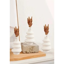 Bernami Mevlüt Pinterest 3lü Iskandinav Tarzı Bohem Vazo Hediyelik Pampas Vazosu Set Vazo Dekoratif Eşya