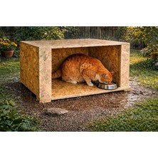 Turkuaz Tırmalama Mama Istasyonu