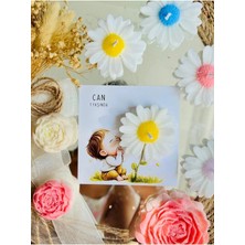 Bernami Mevlüt Pinterest 25 Adet Özel Tasarlanmış Kart ve Papatya Mum. Bebek Doğum, Babyshower, Doğum Günü, Hediyelik