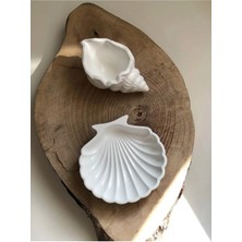 Bernami Dekoratif Pinterest Deniz Kabuğu ve Istiridye Set Beyaz