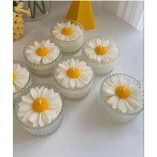 Bernami Mevlüt Pinterest Dekoratif Mum Papatya, Mika Kutuda Papatya Mum, En Sevilen Mum 1 Adet, Kapağıyla 2 Parça