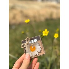 Bernami Dekoratif Pinterest 20' Li Kraft Kutulu Sarı Papatya Mum Hediyelik | Kına, Söz, Nikah, Doğum Günü