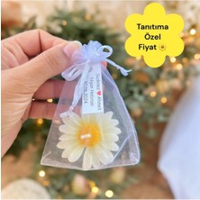 Bernami Şamdan Pinterest 20 Adet Süslemeli Kese Papatya Mum, Biblo Şekeri, Doğum, Sünnet, Biblo Nişan Söz, Kına, Doğum Günü