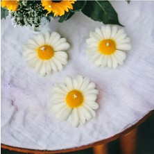 Bernami Şamdan Pinterest 3 Lü Papatya Mum, Papatya Soya Mumu