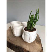 Bernami Dekoratif Pinterest 4 Lü Beton Adler Saksı Beyaz Obje Ev Dekoratif Objesi