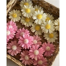 Bernami Şamdan Pinterest Ikili Kokuku Beyaz ve Pembe Papatya Mumu