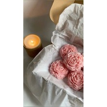 Bernami Mevlüt Pinterest Rchome 3 Adet Pembe Kokulu Şakayık Soya Wax Mum