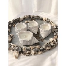 Bernami Şamdan Pinterest Deniz Kabuğu Tabanlı Mum - 1 Adet