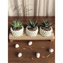 Bernami Nikah Pinterest 3'lü Dekoratif Örgü Tasarım Taş Tozu Mini Saksı - Boş Sukulent Saksısı