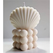 Bernami Dekoratif Pinterest Soya Bubble ve Istiridye 2li Set Shell Organizer Takı Tabağı Sunumluk