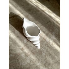 Bernami Dekoratif Pinterest Istiridye Dekoratif Tabak/ Takı Organizeri / Beton Obje