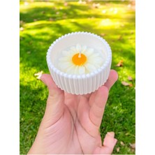 Bernami Biblo Pinterest 2'li Mini Saksı Papatya Çiceği Temalı Kokulu Mum Seti Hediyelik
