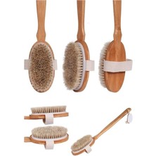 Macgon Saplı Doğal At Kılı Fırça Masaj ve Selülit Fırçası