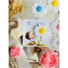 Bernami Kdekoratif Pinterest 12 Adet Özel Tasarlanmış Kart ve Papatya Mum. Bebek Doğum, Babyshower, Doğum Günü