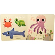 Karokstore Denizler - Oynat-Keşfet (Ciltli)