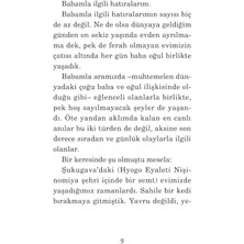 Karokstore Bir Kediyi Terk Etmek: Babam Hakkında