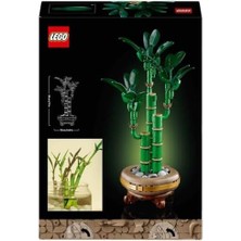 Karokstore Şans Bambusu 10344 – Yetişkin Kadın ve Erkekler Için Bambu Sapları, Çakıl Taşları ve Ahşap Efektli Saksı Içeren Dekoratif Bitki Seti, Ev ve Ofis Dekorasyonu Hediye Fikri (325 Parça)