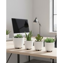 Azrlya 4’lü 3D Beyaz Minimal Dekoratif Vazo Ayaklı Saksı Takımı - Lisinya