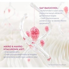 Karokstore Expert Lift Doğal Retinol Alternatifi Saf Bakuchiol ve Hyaluronik Asit Içeren Kırışıklık Karşıtı ve Nemlendirici Gece Kremi 50 ml