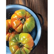 Karokstore Özge Şahin Ile Geleceğin Mutfağı