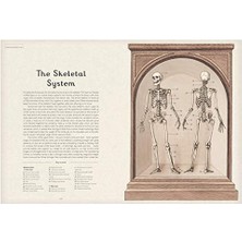 Karokstore Anatomicum