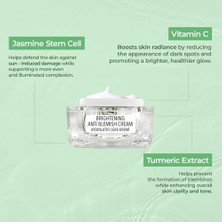 Karokstore Bebak Aydınlatıcı Leke Kremi 50 ml