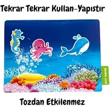 Karokstore Tekrar Tekrar Kullanılabilen Seaworld