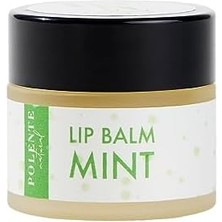 Karokstore Polente Natural - Naneli Lip Balm - Nemlendirici Dudak Kremi (10 Ml)