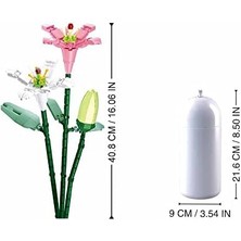 Karokstore Pleyerid Yapım Seti, 243 Parça