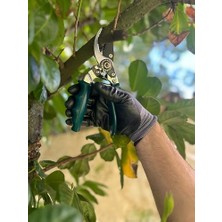 Karokstore 53143 Budama Makası Dön.saplı