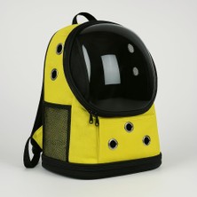 Beylini Fileli Şeffaf Yıkanabilir Evcil Hayvan Taşıma Çantası Uçuş Kurallarına Uygun Büyük Kedi Küçü