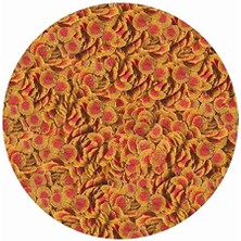 Pro Colour 250GR - Kovadan Bölme