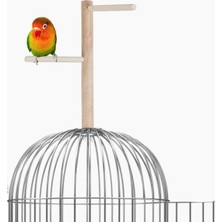 X-Perk Ağaç Sopalı Kuş Tüneği Kuş Parkuru Tünek Boy 23 cm