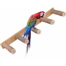 Doğal Ağaç Papağan Merdiveni Papağan Oyun Parkuru Tünek Papağan Tünek Büyük Boy Kuş Tüneği 5 Basamak