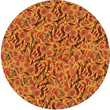 Pro Colour 100GR Balık Yemi Kovadan Bölme