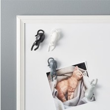 Arvale 4'lü Sevimli Kedi Magnet Seti | Buzdolabı Magneti Magnetcats