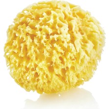 Babyjem Doğal Deniz Banyo Süngeri