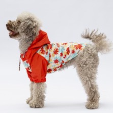 Pawstar Ottawa Polarlı Su Geçirmez Küçük Irk Köpek Yağmurluğu (L)