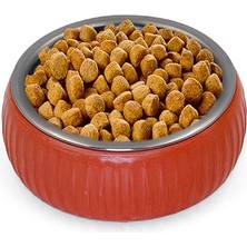 Mikopet Organik Seramik Mama Kabı Kiremit