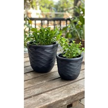 Feyza Design Modern 2'li Elmas Kesim Saksı Seti, 11X12 cm ve 9x9 Cm, Şık Dekorasyon Için