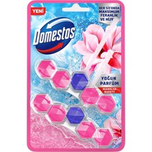 Wc Blok 5'li Güç Tuvalet Bloğu Manolya Ferahlığı Maksimum Hijyen 100 G