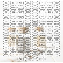 Neoprint Şeffaf Baharatlık Etiketi 100 Adet Kavanoz Sticker Seti - Suya Dayanıklı Erzak Bakliyat Sak