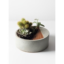Biton Design Oasis El Yapımı Beton Mini Kaktüs ve Sukulent Saksısı