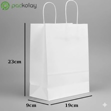 Beyaz Kraft Karton Çanta 19x9x23 cm Burgu Saplı Butik Çanta 250'li