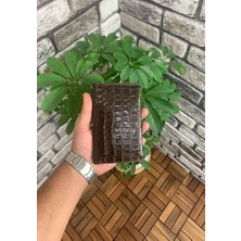 Guard Kahverengi Hakiki Deri Croco Pasaport Kılıfı // GRD260225WT1321