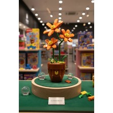 Miniso Turuncu Güngüzeli Mini Çiçek Oyun Bloğu