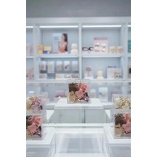 Miniso Sevimli Ayı Mini Saç Pençesi Tokası (14 Adet)