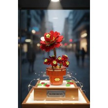 Miniso Gül Sukulenti Saksılı Mini Oyun Bloğu